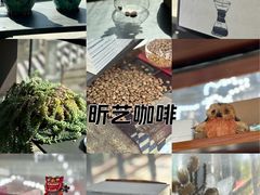 -昕艺咖啡(鼎城国际旗舰店)