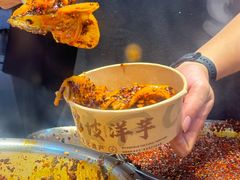 -周小亮丁家坡洋芋(全国总店)