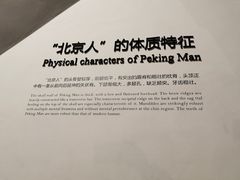 -北京周口店北京人遗址博物馆