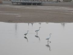 -党河风情线国家水利风景区