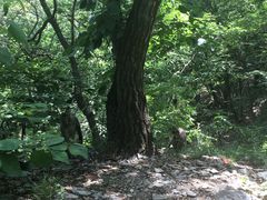 -北京上方山国家森林公园