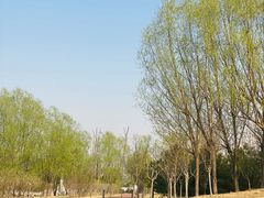 -马家湾湿地公园