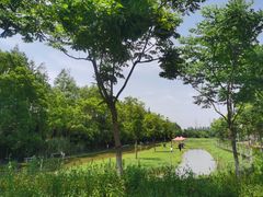 -上海长兴岛郊野公园