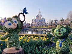 -上海迪士尼度假区