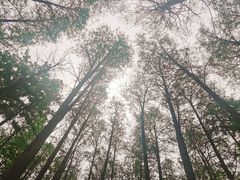 -汉水公园