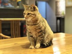 -竹吟山房