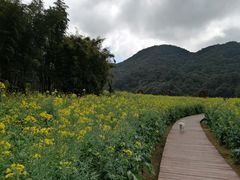 -广州市石门国家森林公园