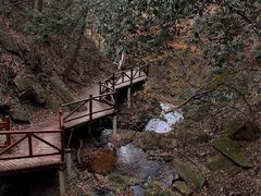 -波尔登森林公园