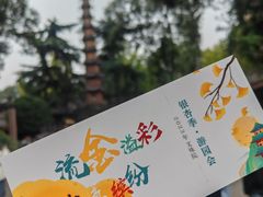 -成都市文殊院
