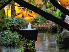 -鱼桥巷·美学川菜