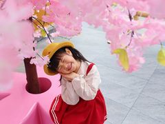 -首开·龙湖成都西宸天街