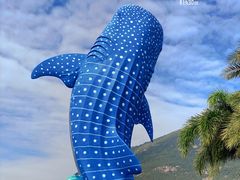 -珠海长隆海洋王国