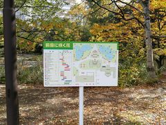 -北海道厅旧本厅舍(旧本庁舎)