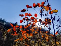 -鹫峰国家森林公园