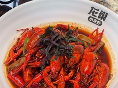 -龙巢盱眙龙虾·牛蛙·烧烤宵夜(八卦岭店)