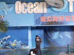 -苏州海洋馆