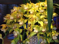 iphone_upload_pic-春暖花开(西溪店)