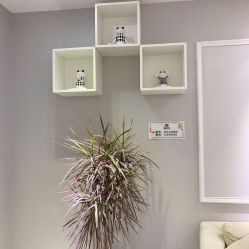 -久匠·野生眉半永久纹眉