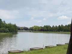 -宁波杭州湾国家湿地公园