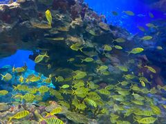 -海合安成都极地海洋公园