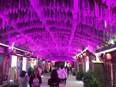 -婺源梦里老家大型山水实景演出