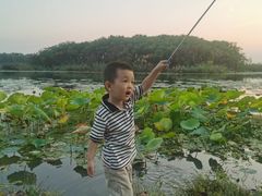 -丁香湖公园