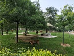 -石家庄市动物园