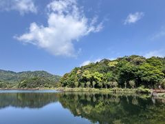 -海南热带雨林国家公园吊罗山景区