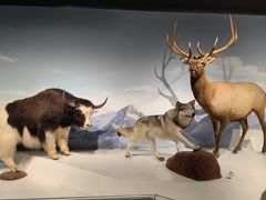 -陕西自然博物馆