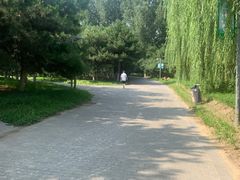 -大兴滨河森林公园