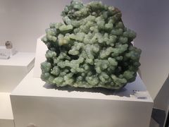 -重庆自然博物馆(新馆)