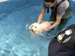 -Goku PET SHOP宠物视觉生活馆(双井店)