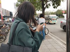 -美的鹭湖森林度假区
