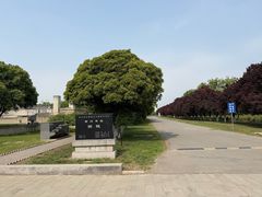 -汉景帝阳陵博物院