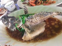 -四川小胡子海鲜(丁村万人海鲜广场店)