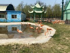 -秦皇岛野生动物园