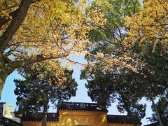 -莲湖公园