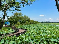 -焦岗湖旅游度假区