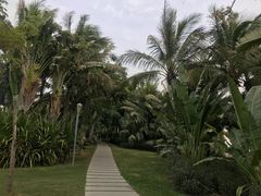 -深圳湾公园(南山区)