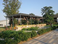 -田园东方蜜桃村的田野营地
