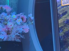 -方糖KTV-PLUS(世茂广场店)