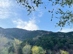 -北京西山国家森林公园