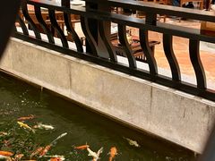 -龙悦湾酒家·八阵鱼生·渔人码头店