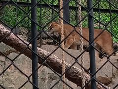 -大连森林动物园