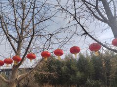 -莲花池公园