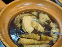 -大中鱼翅 Taitong Shark Fin