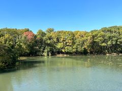 -昆山城市生态森林公园