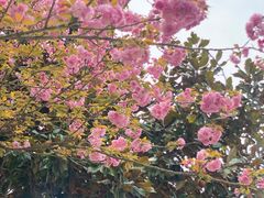 -东钱湖旅游度假区