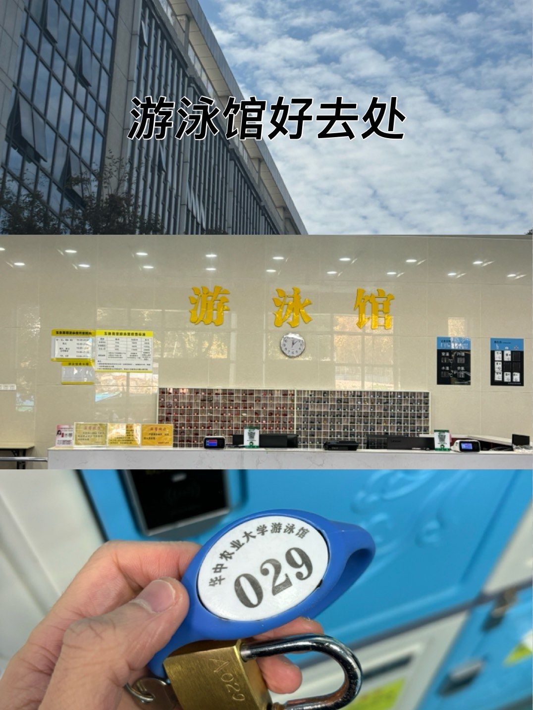 南湖游泳去这里就对了!