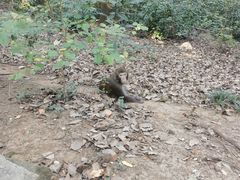 -苏州上方山国家森林公园